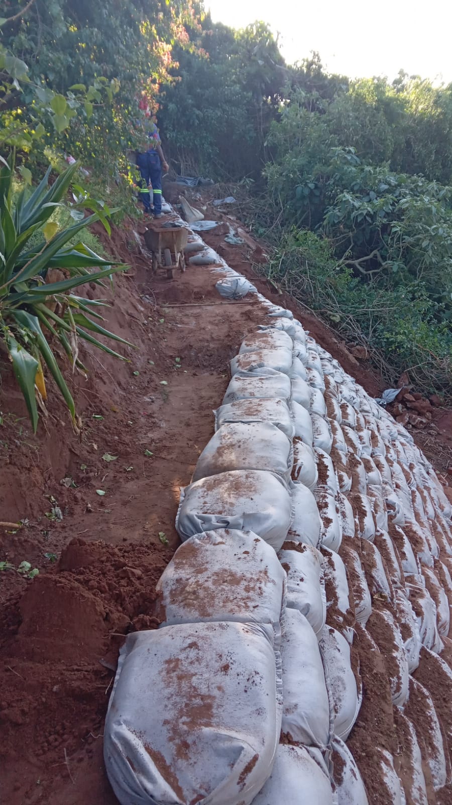 Installing Sand Bags in Salt Rock